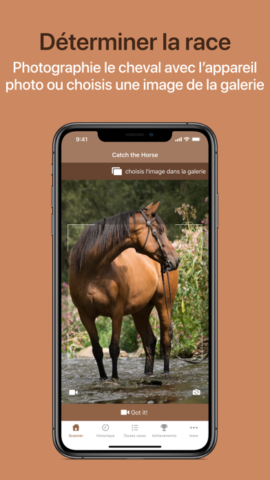 Screenshot #1 pour Horse Scanner