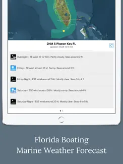 Florida Boating Weather iPad image 1