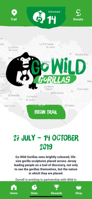 Go Wild Gorillas