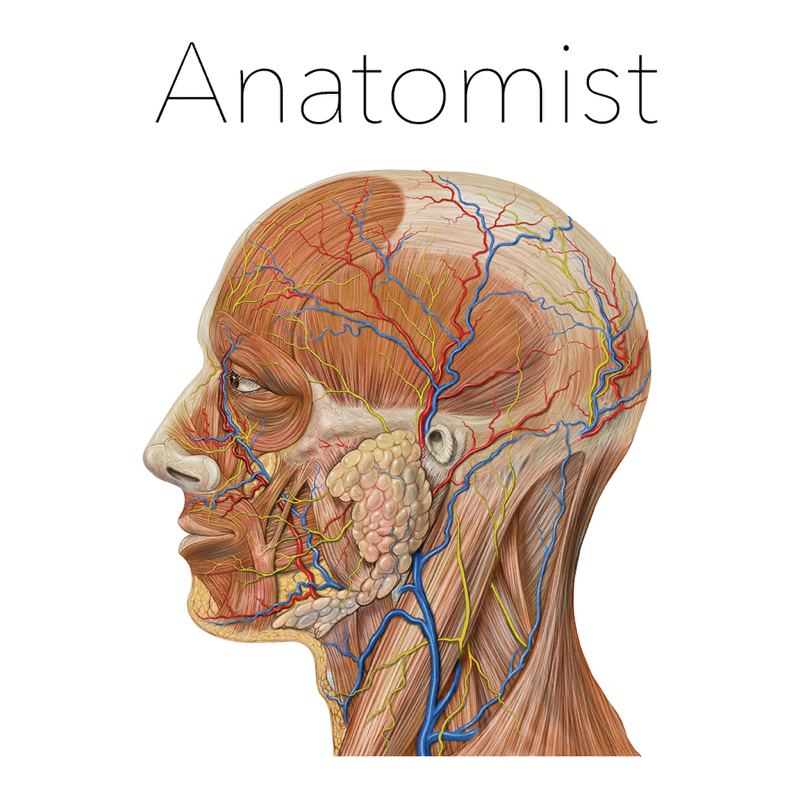 Anatomist – Anatomie Quiz Jeu