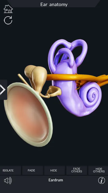 My Ear Anatomy screenshot 7 of 9