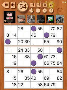 Game screenshot Russian Bingo Online HD mod apk
