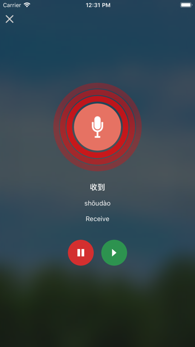 Learn Chinese Daily iPhone screenshot 8 - Education app