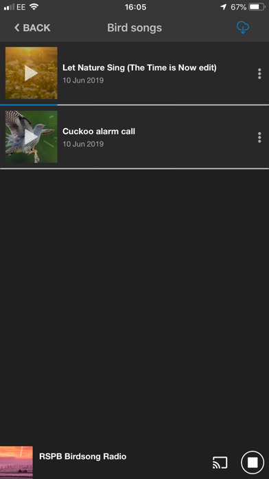 RSPB Birdsong Radio iPhone screenshot 2 - Music app