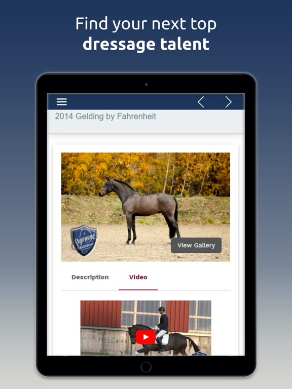Screenshot #5 pour Supreme Sport Horses