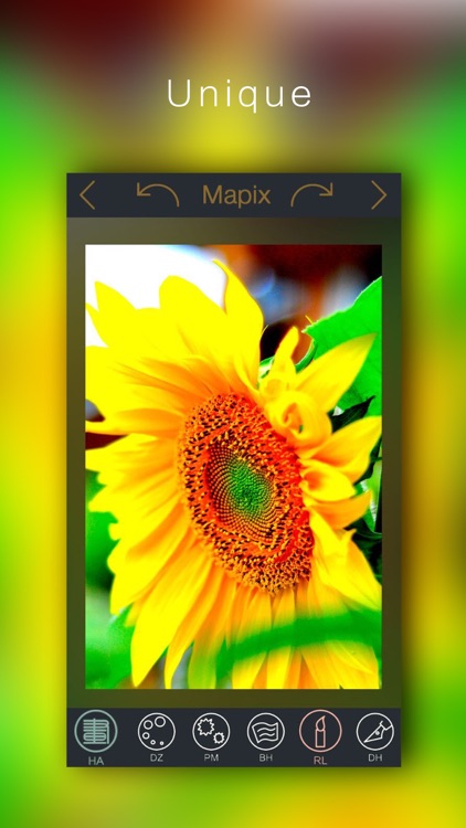 Mapix - Art of Mosaic screenshot-3
