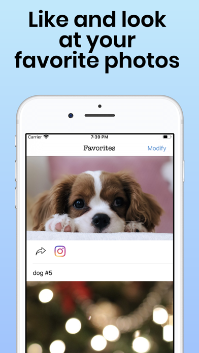Daily Cute Dogs Photos Screenshot