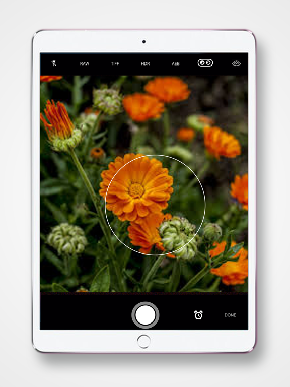 Screenshot #5 pour Tasvir Art