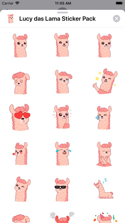 Lucy the llama