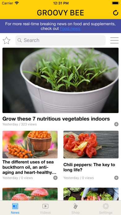 Screenshot #1 pour Groovy Bee App