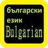 Icon Bulgarian Audio Bible Библия