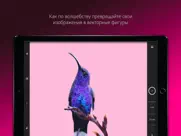 adobe capture:инстр. для ps,ai айпад изображения 2