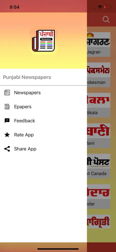 Punjabi Newspapers