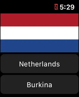 Game screenshot NationalFlagQuiz -watch game- apk