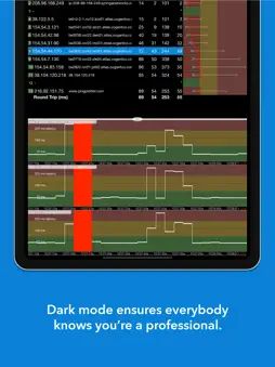 PingPlotter screenshot 12