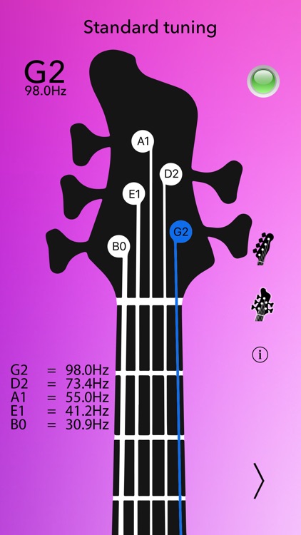 Bass Tuner Professional