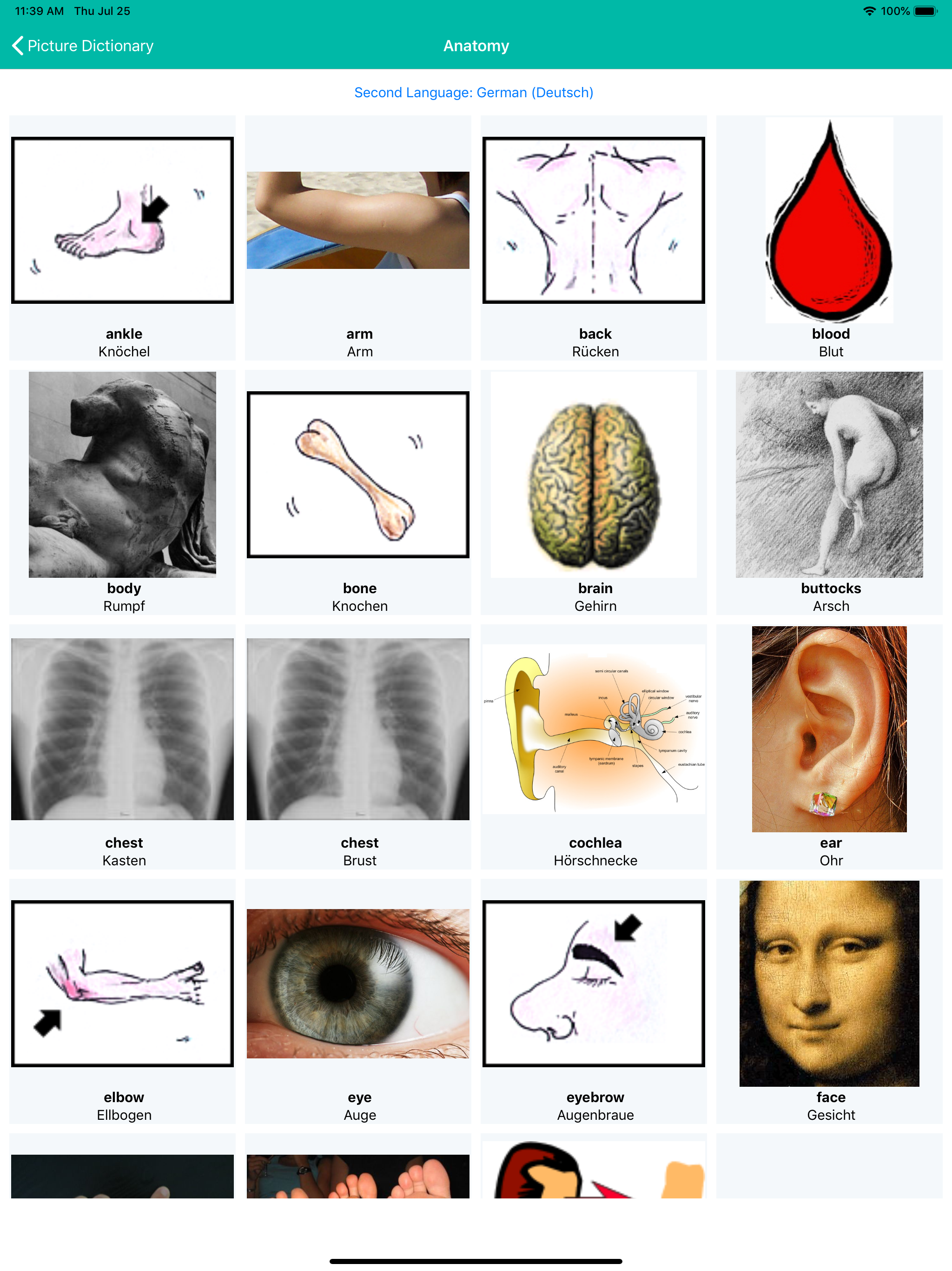 Dictionary with pictures
