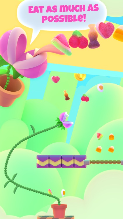 Nom Plant