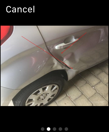 AutoIntegrity Red screenshot 8