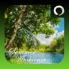 Icon Summer Ambience HD