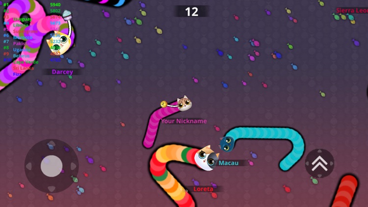 Kitty.IO - Roller Neko Cats