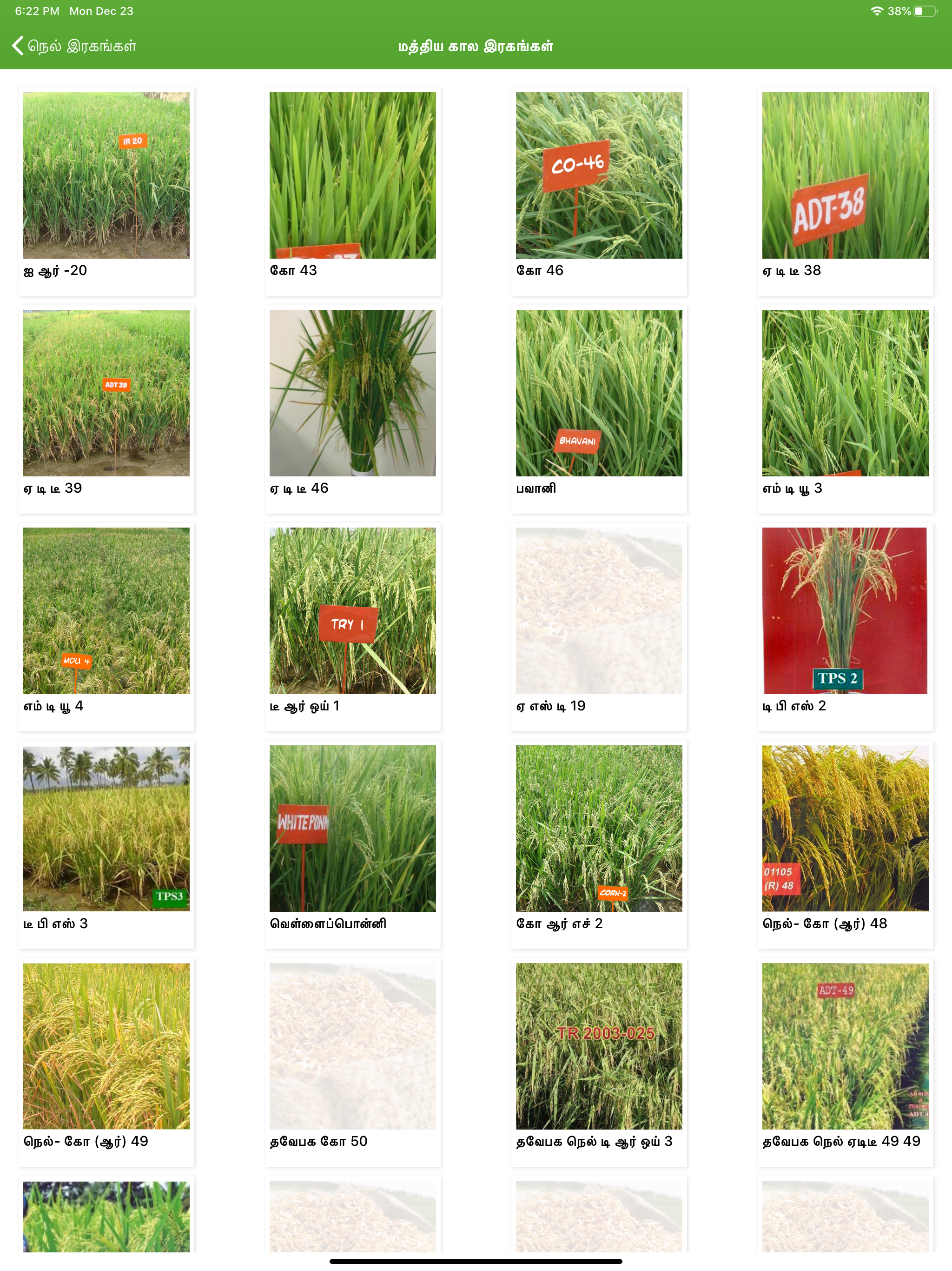 Paddy Varieties