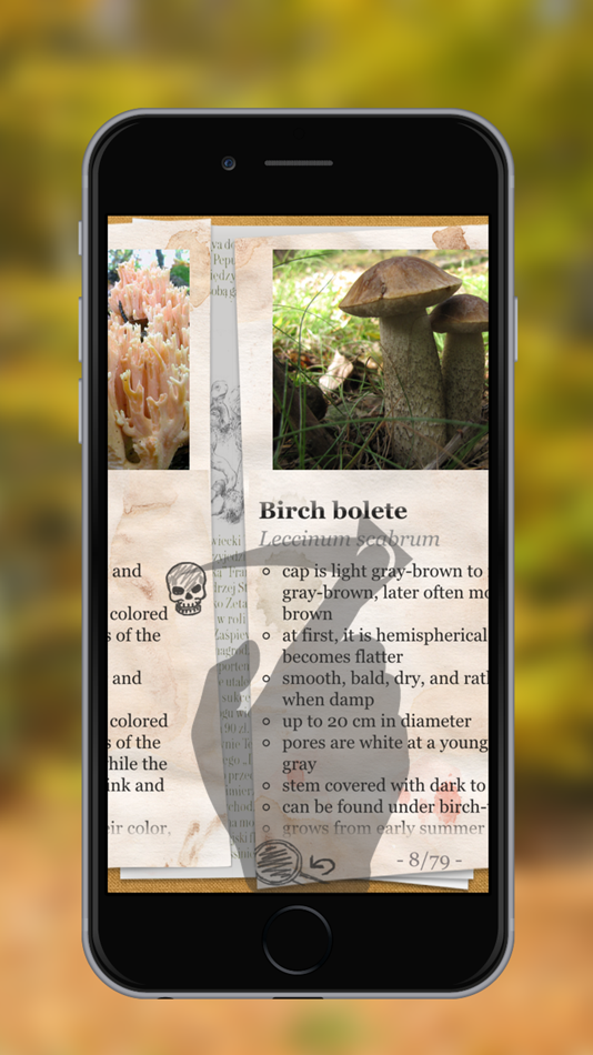 #3. The Mushroom Book (iOS) 由: Dominik Warszewski