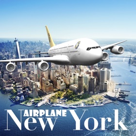 螢幕擷取畫面 (5) New York Flight Simulator
