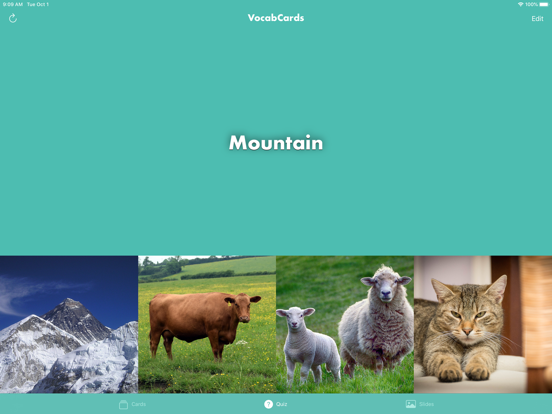 Screenshot #5 pour VocabCards