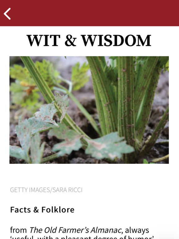 GRIT Magazine iPad screenshot 4 - Lifestyle app