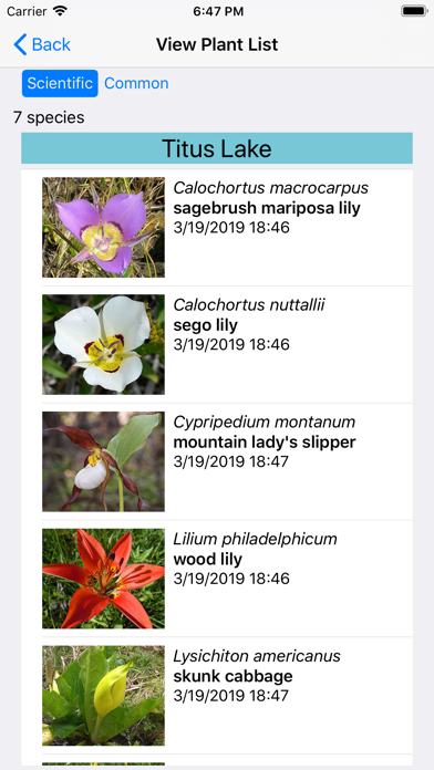 Wildflowers of Montana Screenshot