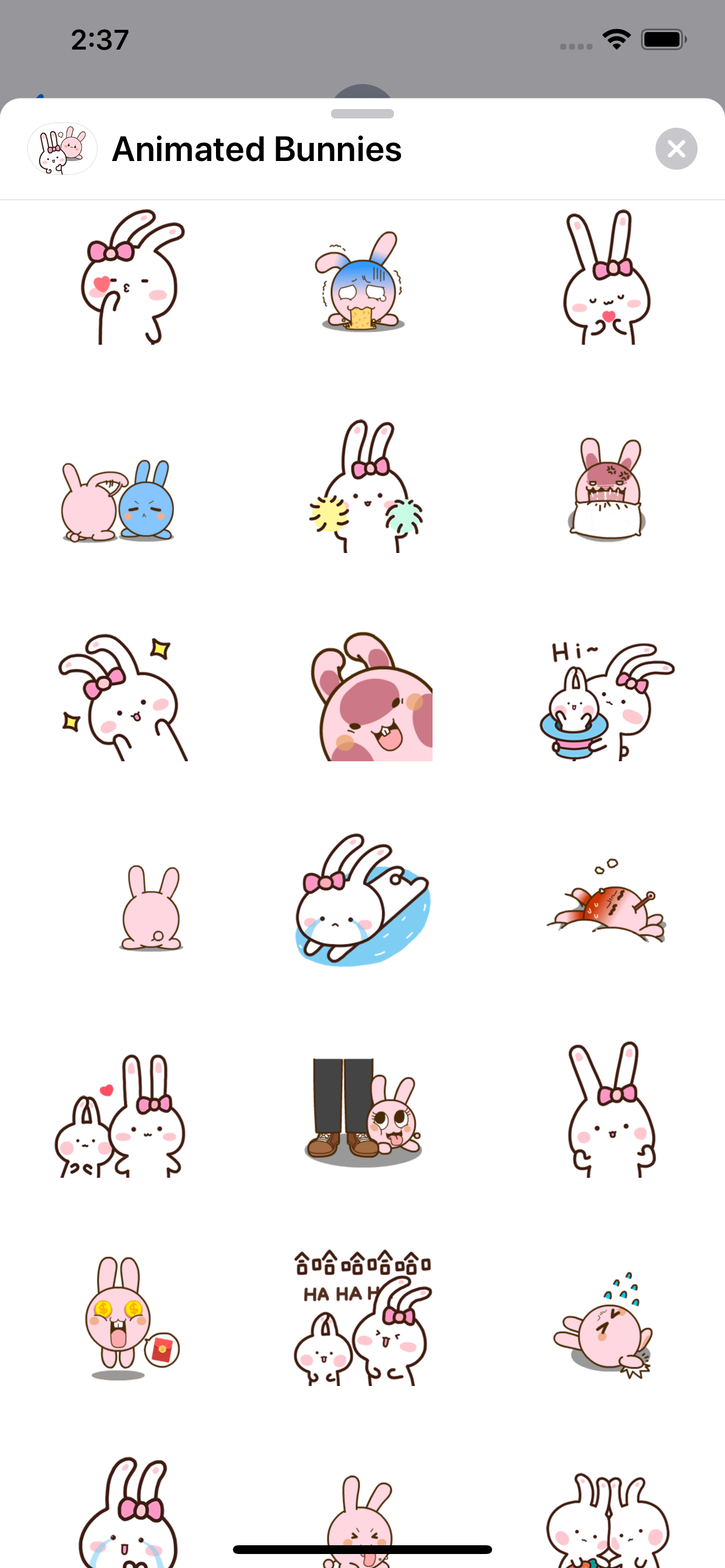 Animated Bunnies Stickers screenshot 3
