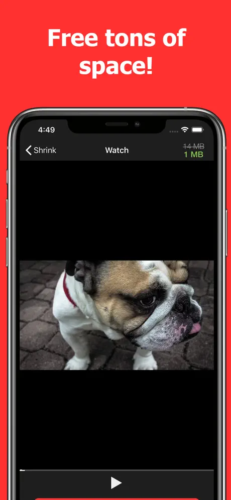 Video Shrinker