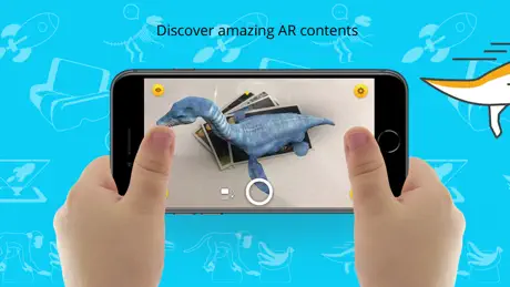 Wow 4D+