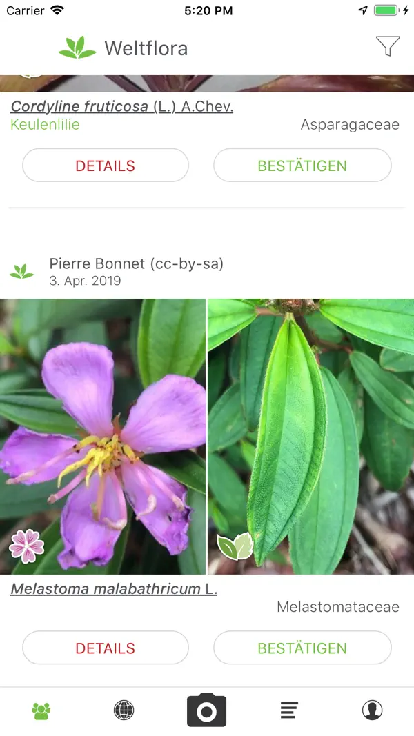 PlantNet Screenshot 1