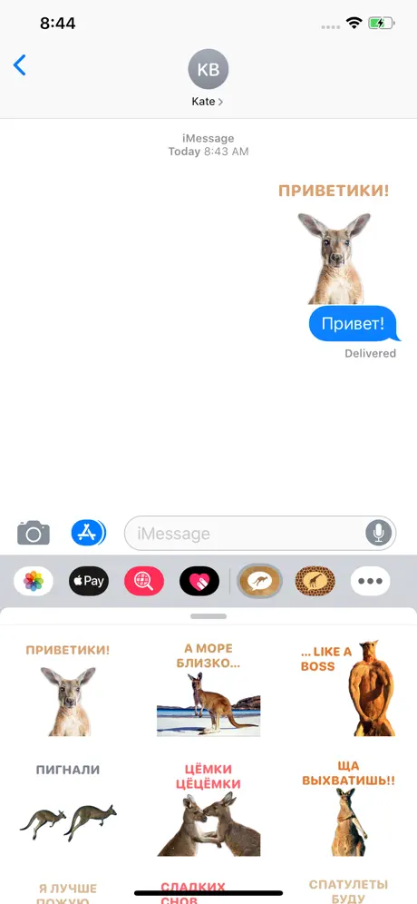 Sticky Kangaroo