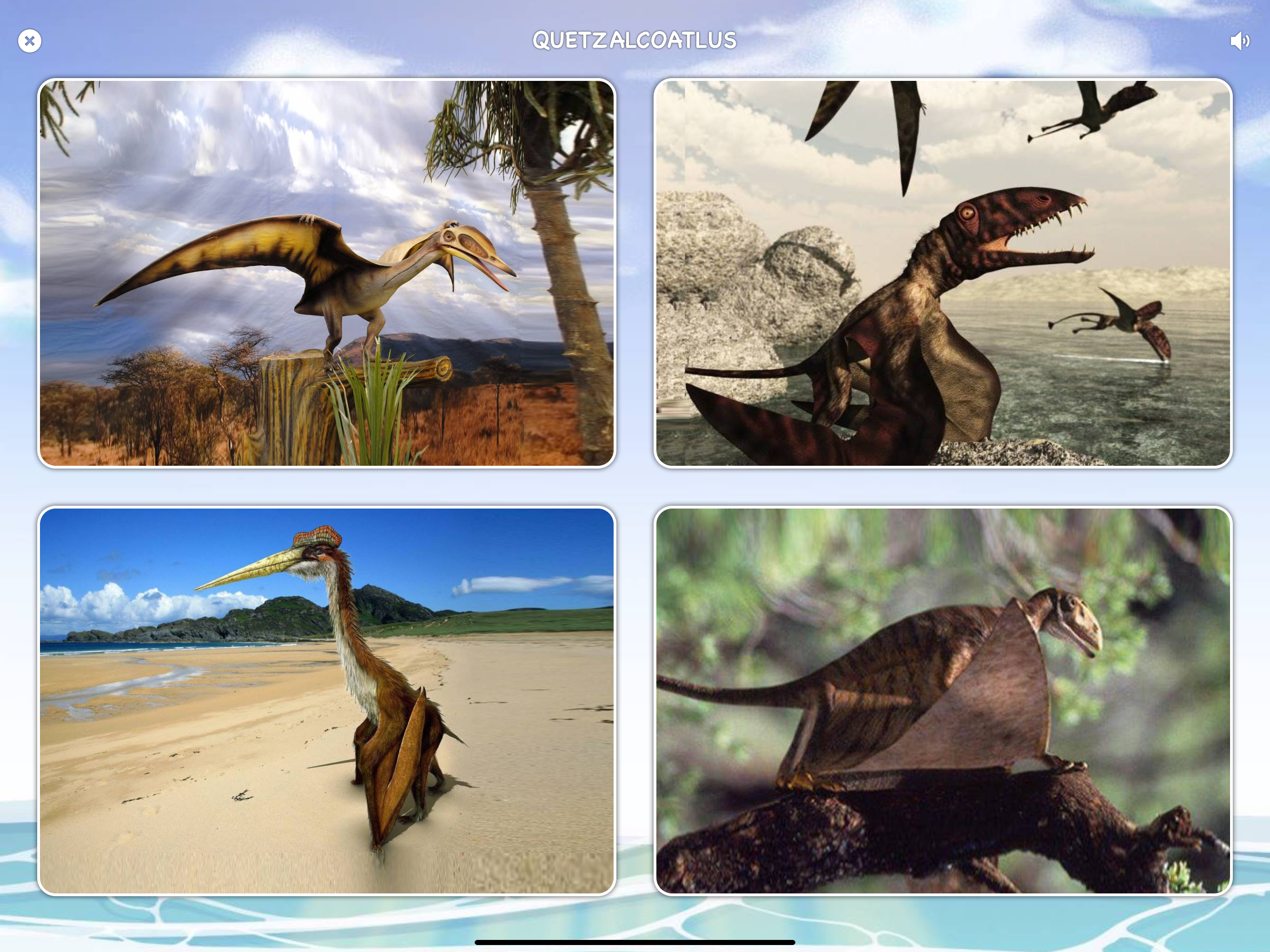 Cards of Dinosaurs for Toddler screenshot 12