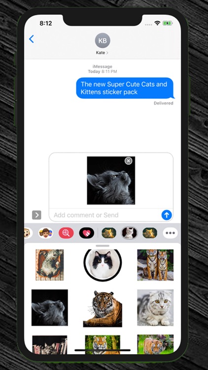 Super Cute Cats and Kittens screenshot-0