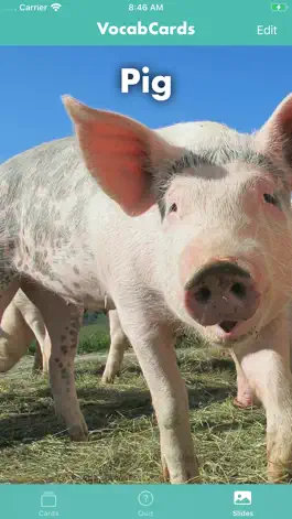 Game screenshot VocabCards hack