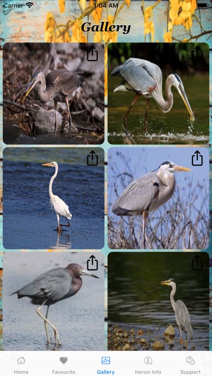 New World HERONS screenshot-3