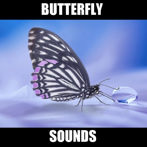 Butterfly Sound Effects! icon