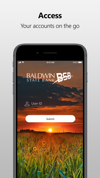 Baldwin State Bank Mobile