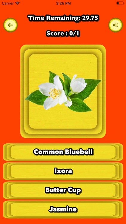 Guess Fruit Flower Vegetable