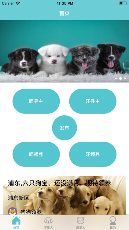 亚星流浪猫狗录