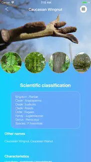 deciduous trees problems & solutions and troubleshooting guide - 1