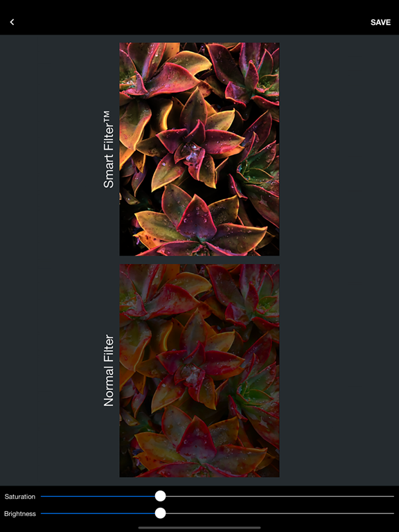 Screenshot #5 pour Smart Saturation