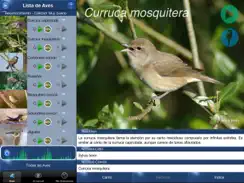 Cantos de Aves Id iPad image 1
