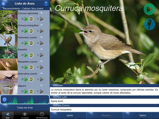 Screenshot #4 pour Cantos de Aves Id