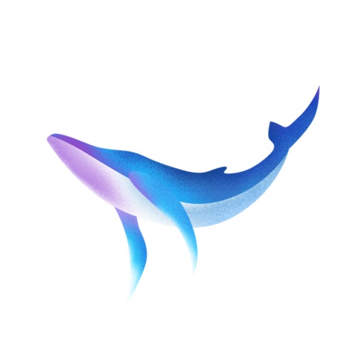 DolphinPaper