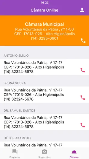 Câmara Online screenshot 4